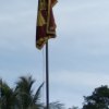 73 වන නිදහස් දින සමරු උත්සවය....